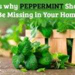 Reasons why peppermint should not be missing in your home