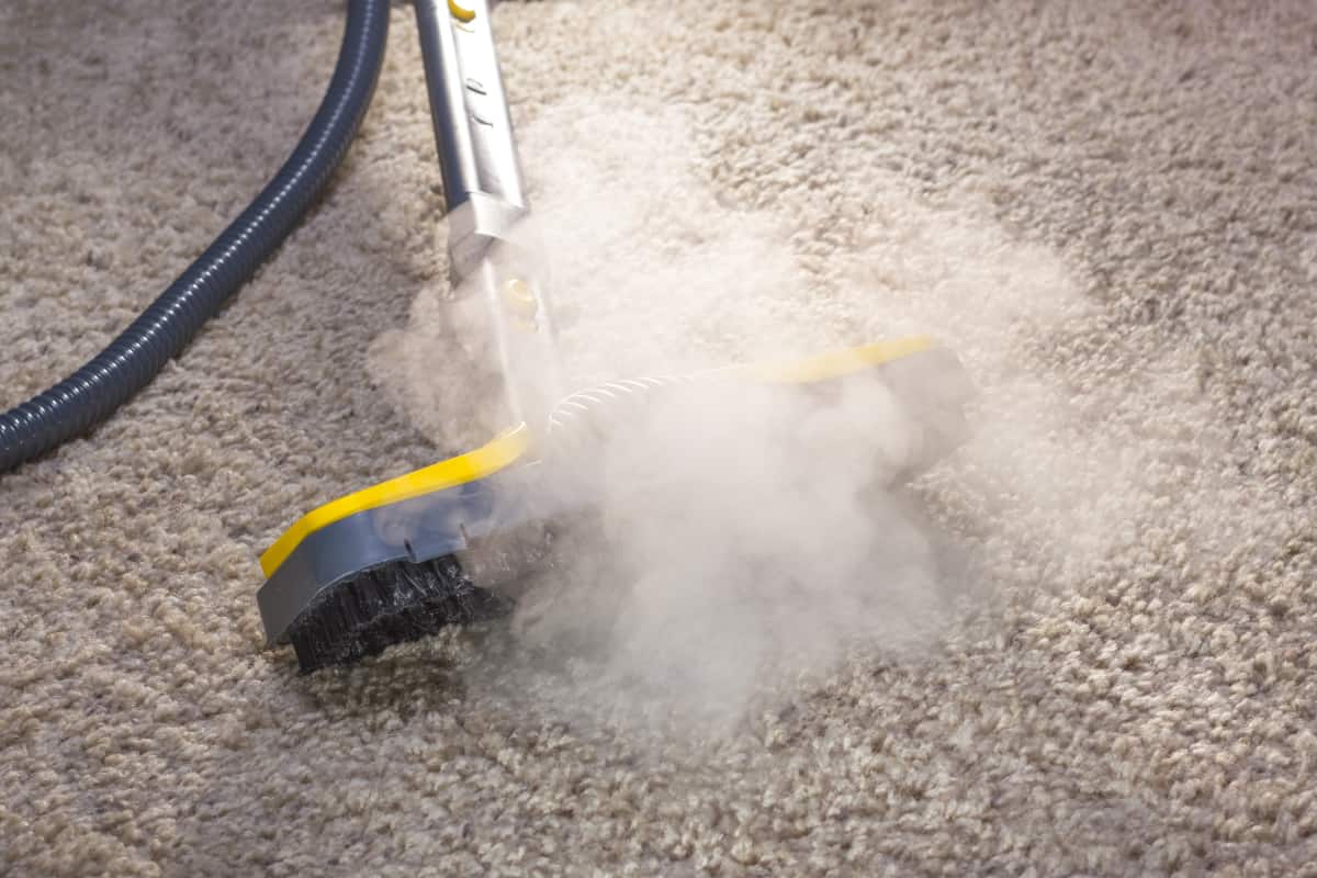 Why Carpet Steam Cleaning is Beneficial and Best for Carpet