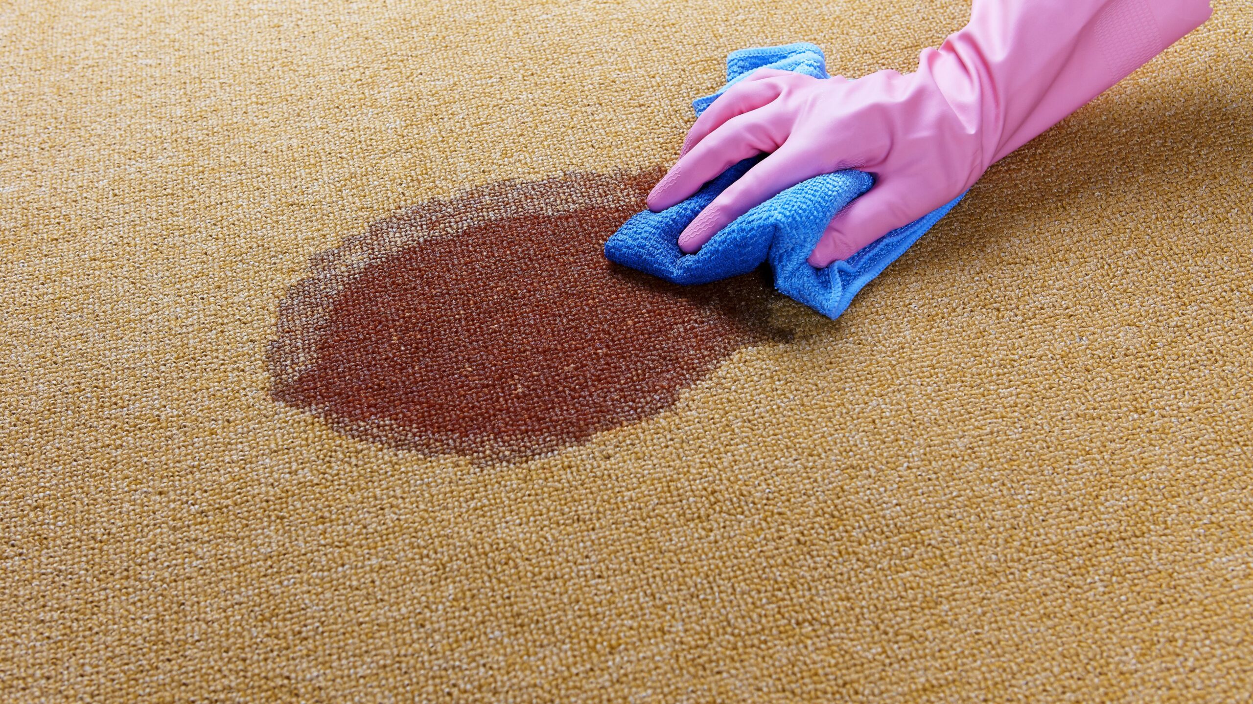 Eliminate Carpet Stains and Save Your Valuable Carpets