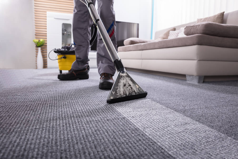 carpet steam cleaners