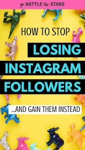 Instagram Followers are Constantly Falling Issue