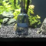 Fish Tank Substrate
