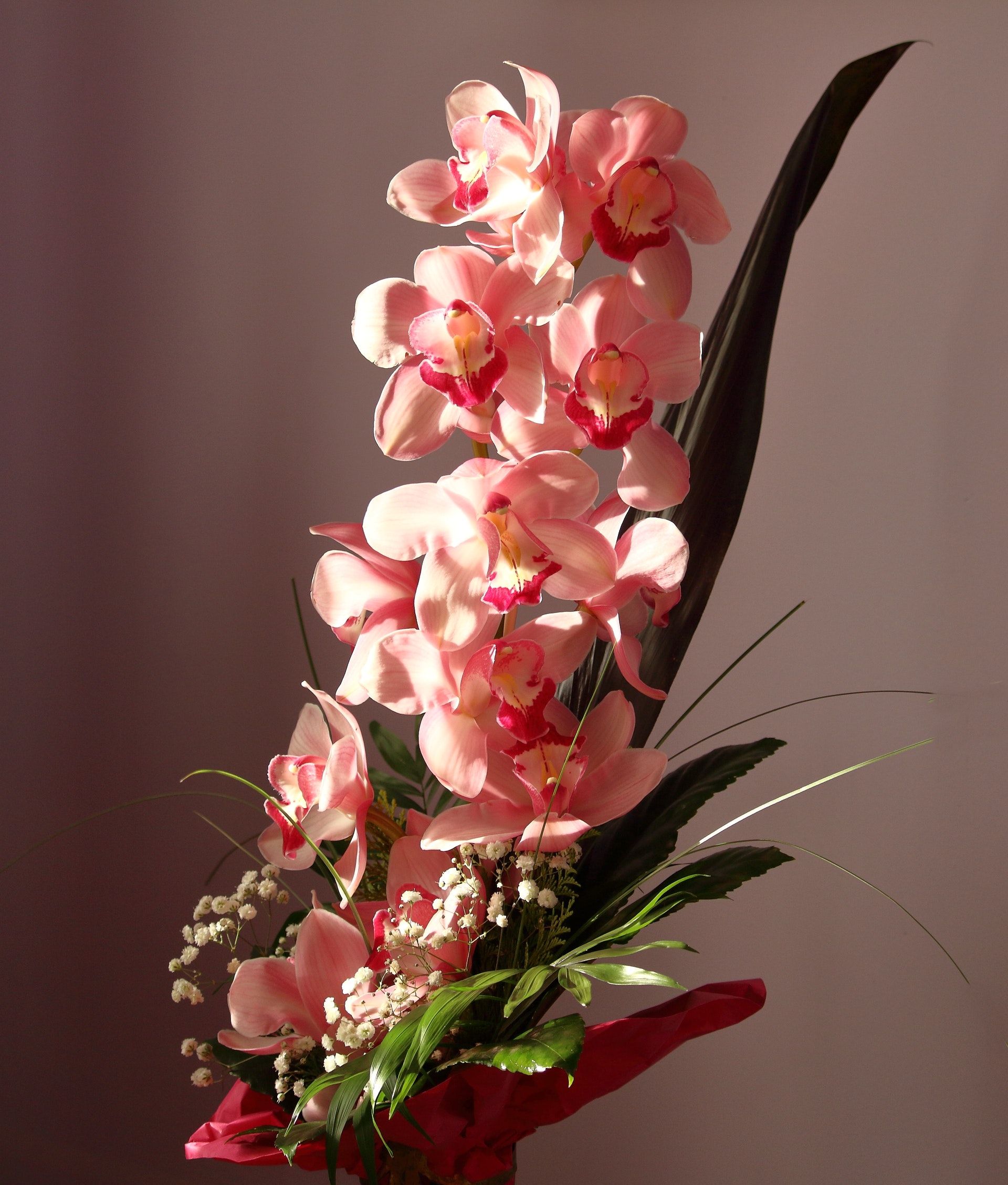 Incredible Yet Unexpected Health Benefits of Orchids