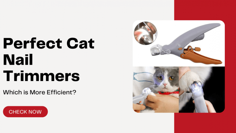 cat nail trimmers