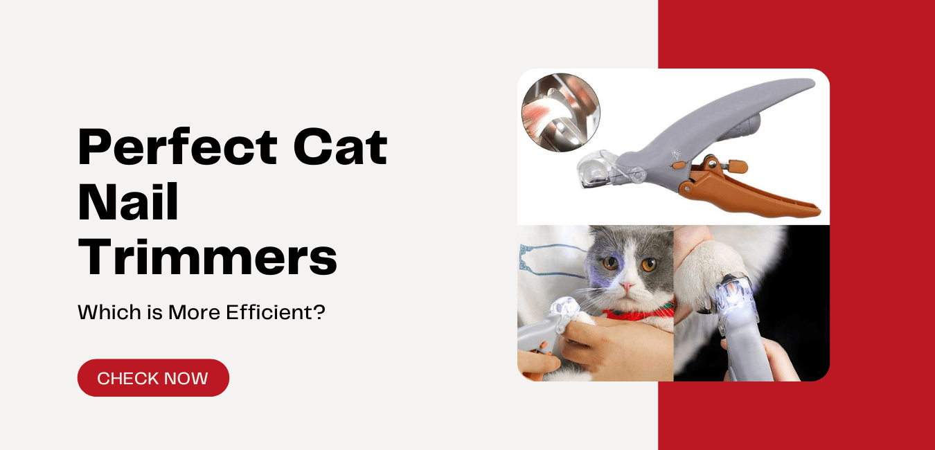 Perfect Cat Nail Trimmers: Which is More Efficient?