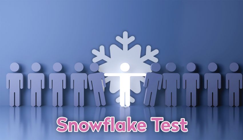 What You Need to Know About the Snowflake Test