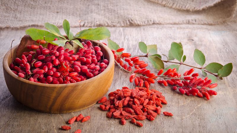 Why you should know about Goji Berries’ health benefits:-