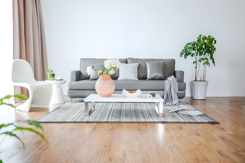 Ultimate Guide to Clean your Living Room