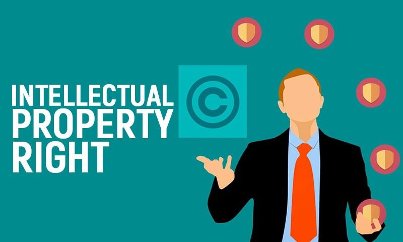 Intellectual Property Rights & Registration