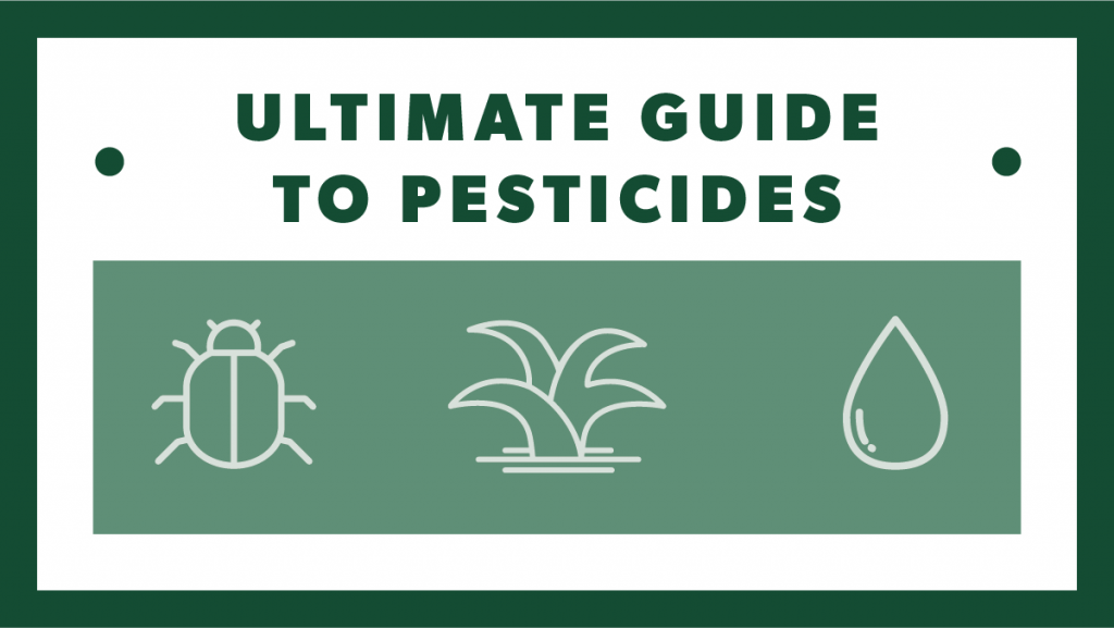 A Complete Guide to Insecticides