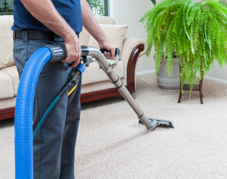 Things You Should Consider Before Hiring Professional Carpet Cleaning Services
