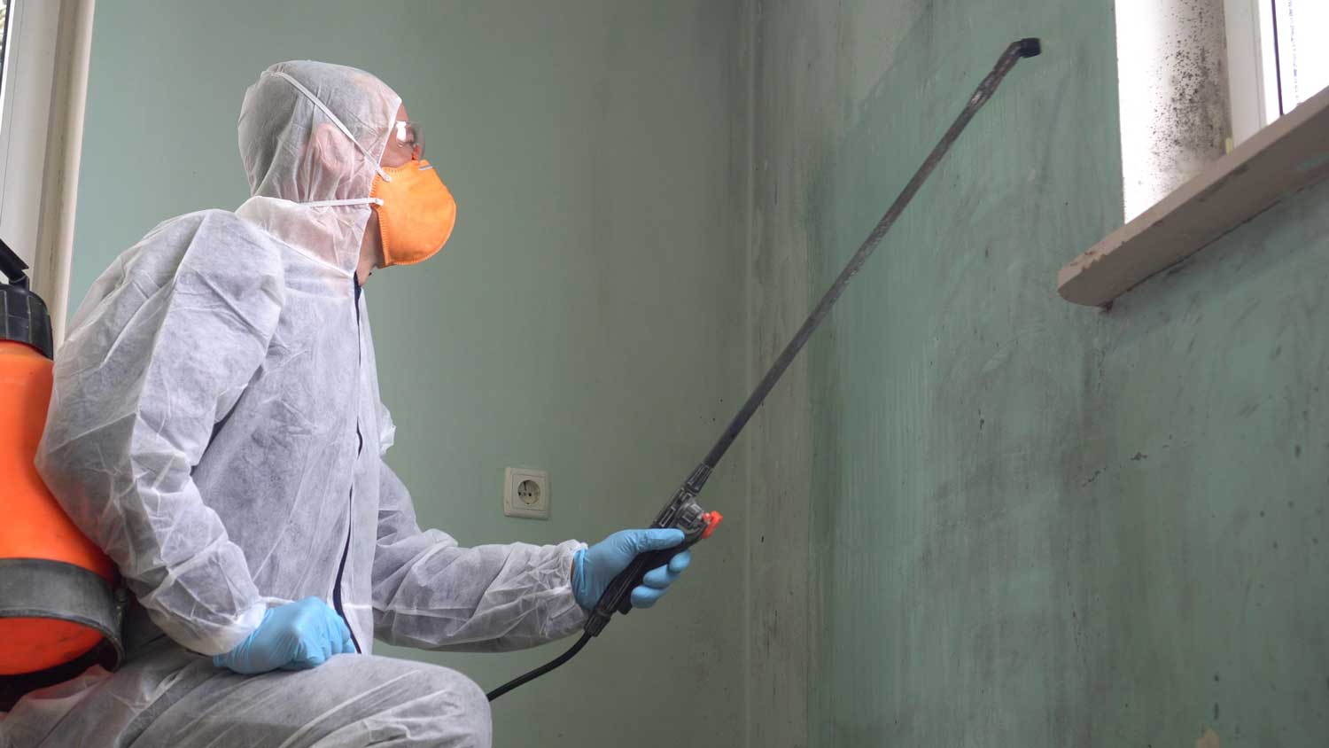 Why You Should Call a Professional For Mold Remediation In Your Home?