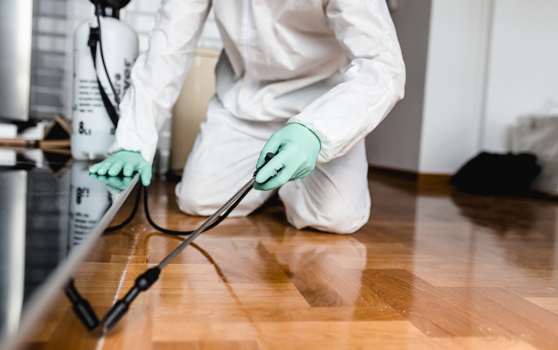 The Importance of Hiring a Pest Control Company