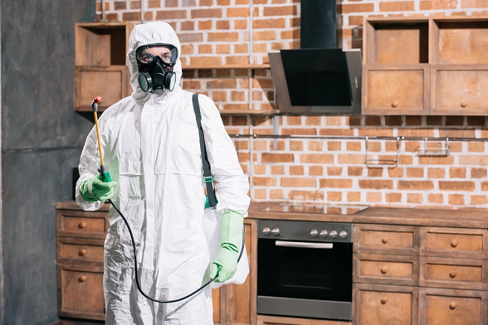 Why Pest Control Services are Important?