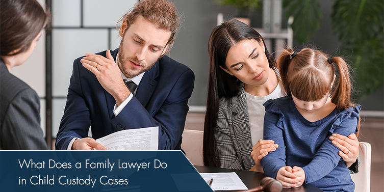 What Does a Family Lawyer Do in Child Custody Cases