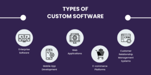 types of custom software