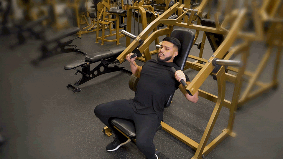 Chest Press Equipment